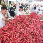 Harga Cabai Tembus Batas HAP, Data Resmi Awal Ramadan 2026 Jadi Alarm Stabilitas