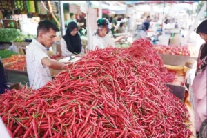 Harga Cabai Tembus Batas HAP, Data Resmi Awal Ramadan 2026 Jadi Alarm Stabilitas