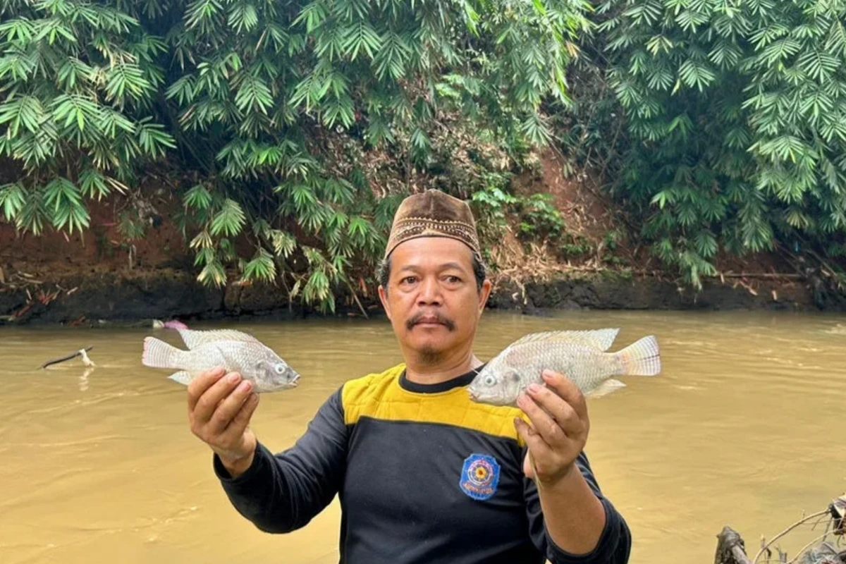 Ikan Mati di Sungai Cisadane