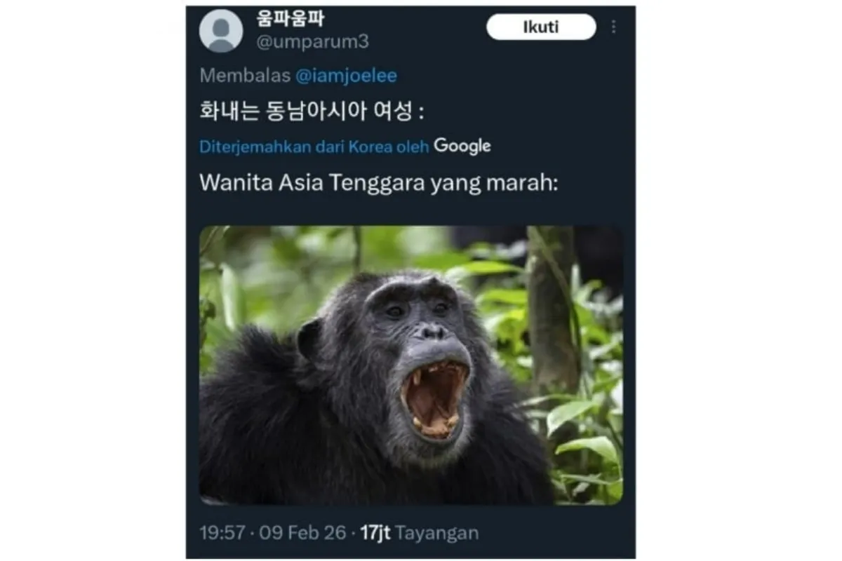 Unggahan rasisme Knetz kepada wanita di Asia Tenggara