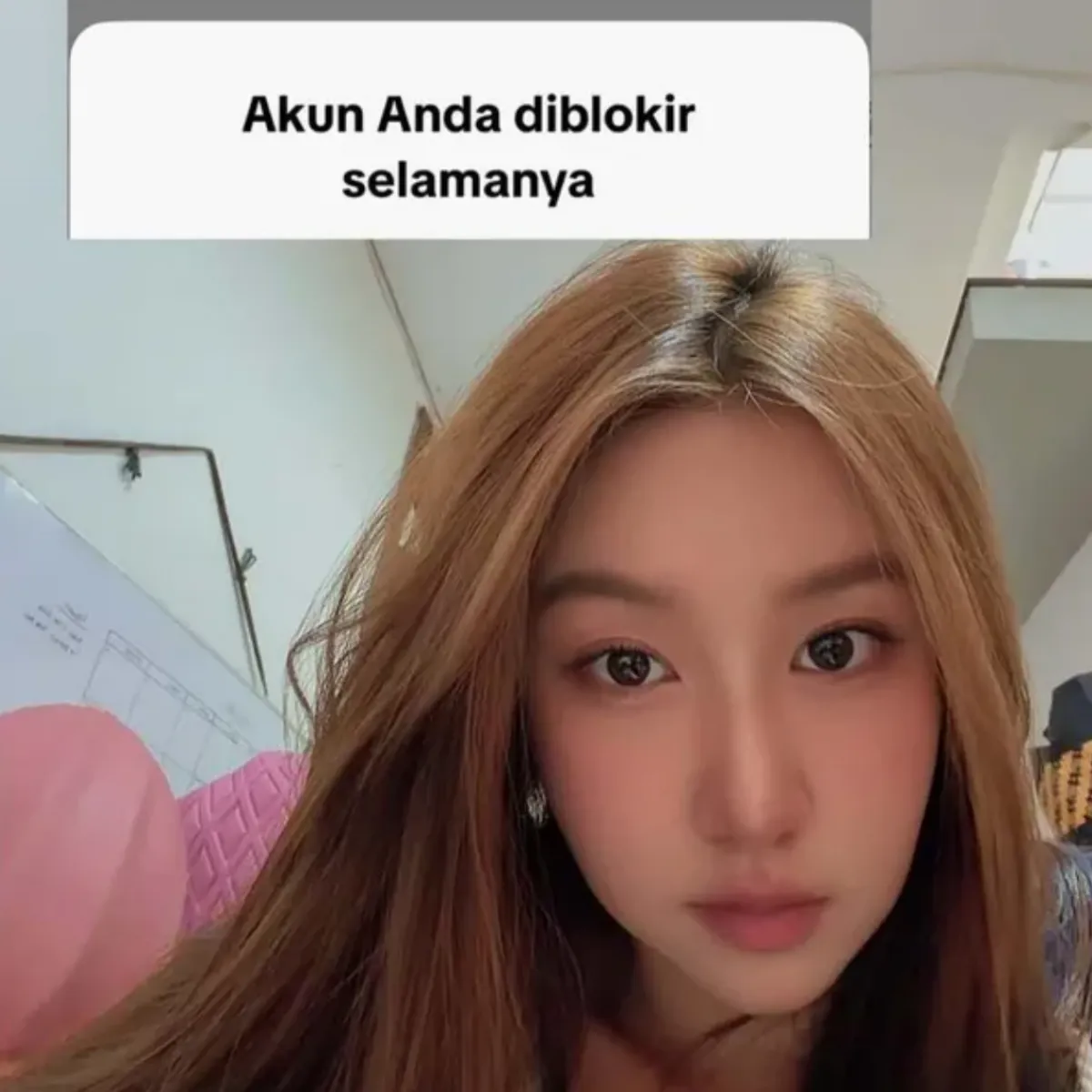 Akun Vilmei Dibanned TikTok, 68,8 Juta Followers Hilang Permanen