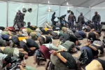 9 WNI Disetrum dan Dipukul saat Ditahan Israel, Seluruh Delegasi Global Sumud Kini Dibebaskan
